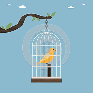 Bird cage