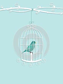 Bird in cage