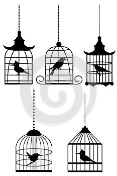 Bird in cage