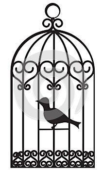 bird cage