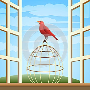 Bird on a Cage