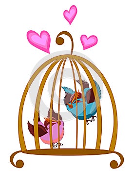 Bird cage