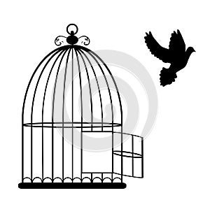 Bird Cage