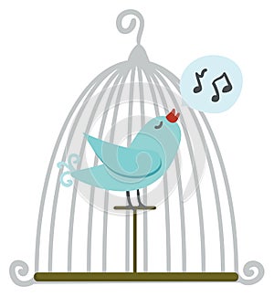 Bird in cage