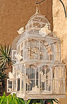 Bird Cage