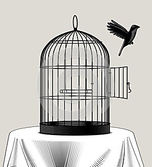 Bird cage and a black bird flying away