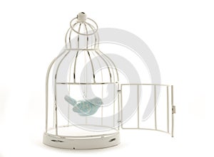 Bird in cage