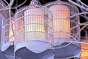 Bird Cage Lighting