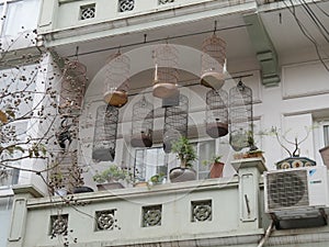 Bird in Cage, Old District of Hanoi, the 36 corporations District, Vietnam