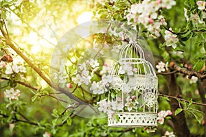 Bird cage - romantic decor