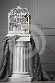 Bird cage stands on Ionic column