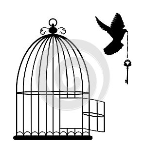 Bird Cage Vector