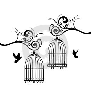 Bird Cages