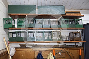 Bird cages in birding station