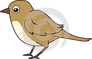 Bird Cartoon bird vector