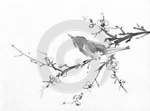 Bird on a cherry branch sumi-e ink painting