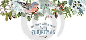 Bird Christmas border