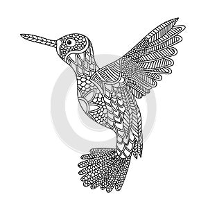 Bird colloring book illustration. Antistress coloring for adults.