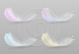 Bird colorful feathers 3d realistic vector set