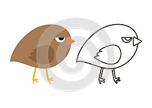 Bird Coloring Illustration for Kids