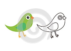 Bird Coloring Illustration for Kids