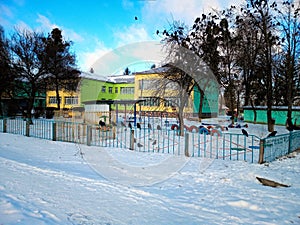 Bird crows sit on a tree and a fence