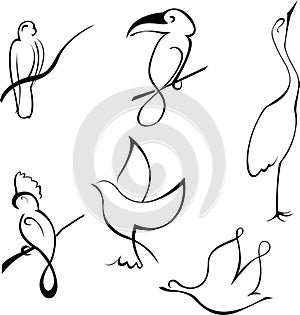 Bird Design Set