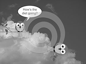 Bird on a diet