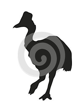 Bird dinosaur drawing silhouette, vector