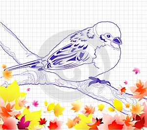 Bird doodle