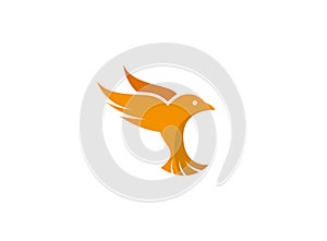 Bird dove open wings and fly for logo esign illustration