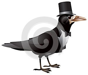 Bird dressed in black tie and top hat