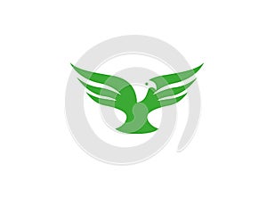 Bird eagle open wings flying for logo