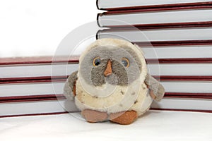 Bird an eagle owl symbol of wisdom