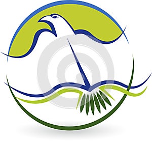 Bird education logo