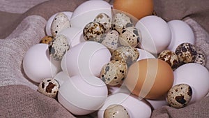 Bird eggs