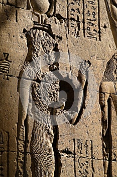 Bird on Egyptian hieroglyph