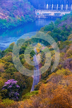 Bird eye view of asphalt pathway in autumn mixed and deciduous forrest with dam at the top of river tranquility landscape