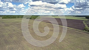 Bird eye view boundless fields against forest under nice sky