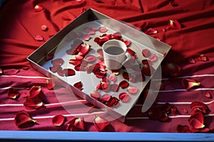 a bird-eye view of a coffee cup on a tray, with scattered rose petals around on a red bedspread