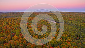 Bird eye view of fall color