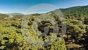 Bird-eye view at green hills with white plume of smoke rising up between pine trees in forest. Aerial, 4k.