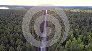 Bird eye view long straight road crosses pine forest