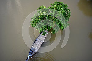 Bird eye view of Ratargul