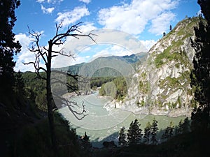 Bird-eye view of swift river in the forest