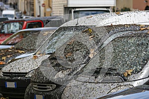 Bird faeces and dirt on car windows in ÃÂ°taly photo