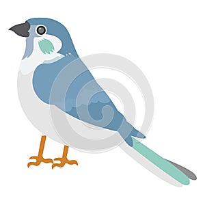 Bird, feather creature Vector Icon which can be modify or edit
