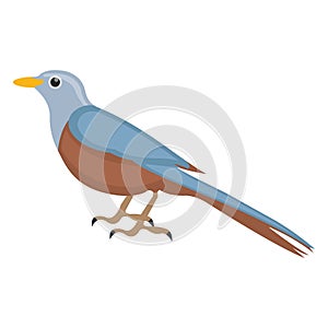 Bird, feather creature Vector Icon which can be modify or edit