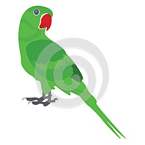 Bird, feather creature Vector Icon which can be modify or edit