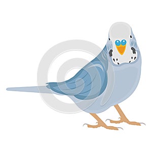 Bird, feather creature Vector Icon which can be modify or edit